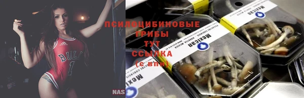 прущий лед Балахна
