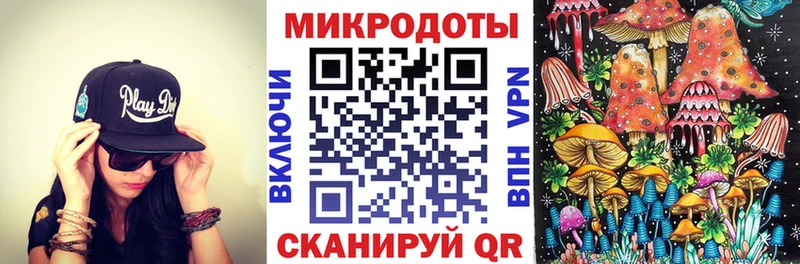 blacksprut ONION  Темрюк  Галлюциногенные грибы Cubensis 